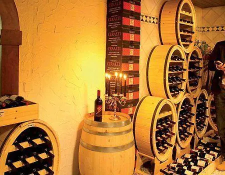 酒店 皮尔明楚尔布里根健康水疗酒店 4*